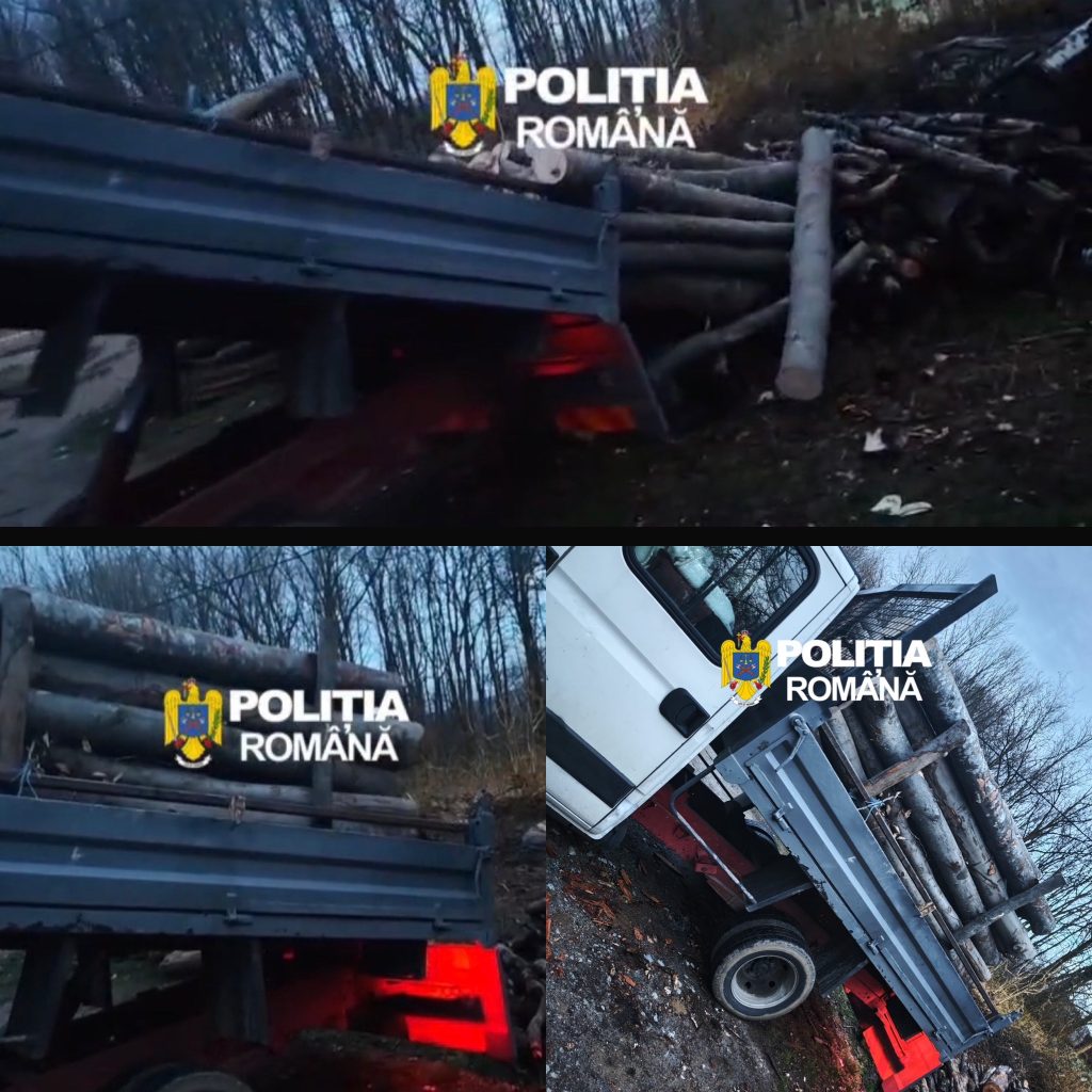 Transport ilegal de lemn oprit de polițiștii din Novaci