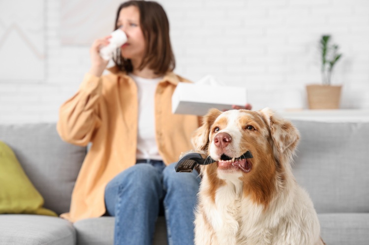 Beneficiile periajului regulat pentru câini: sănătate și igienă