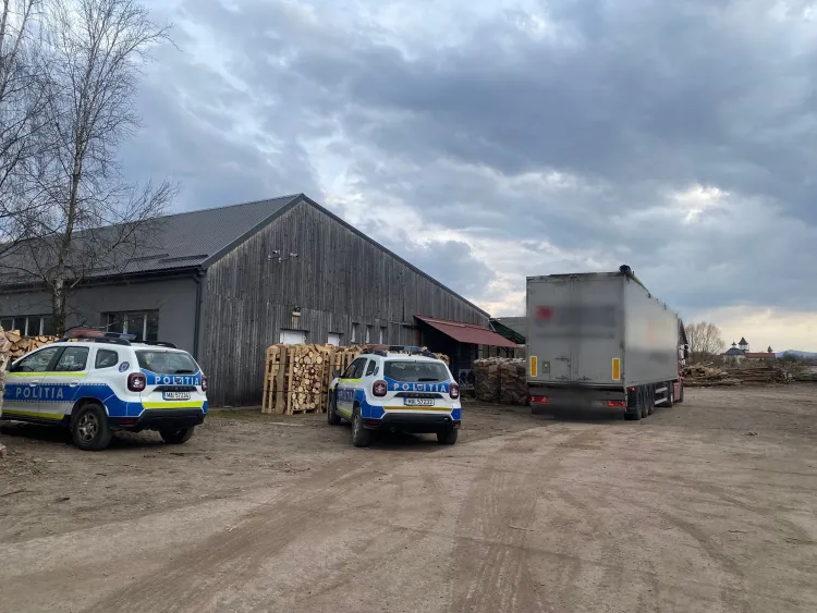 Amendă de 6.000 de lei pentru neconformități în transportul de lemn