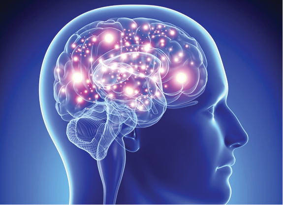 Descoperiri revoluționare în cercetarea cognitivă de la Institutul Max Planck