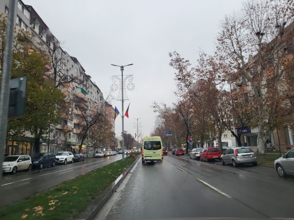 Primarul Gabriel Lazany despre problema ciorilor din Zona Big
