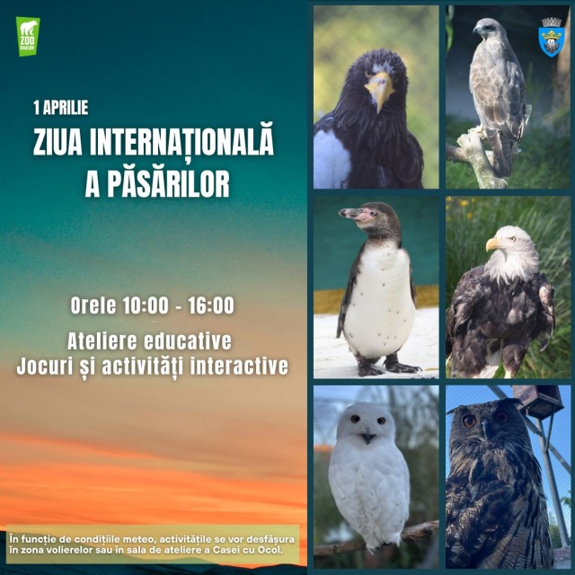 Zoo Brașov sărbătorește Ziua Internațională a Păsărilor pe 1 aprilie