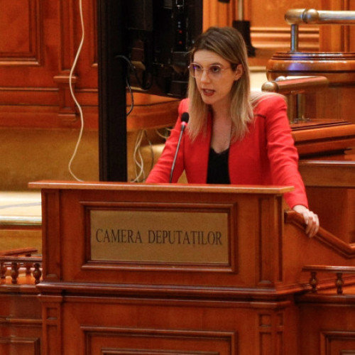 Senatul dezbate o nouă moțiune simplă împotriva ministrei Mediului