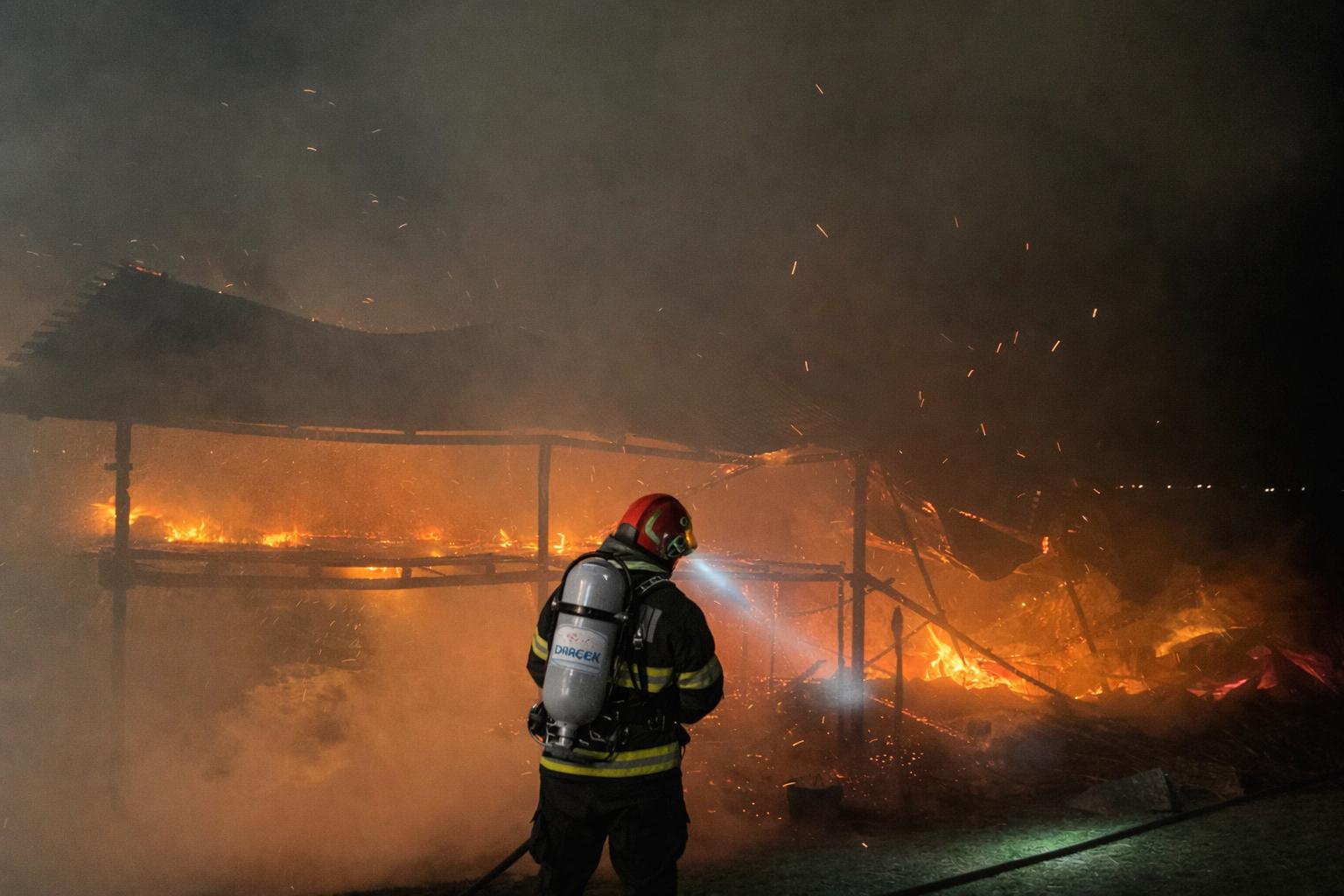 Incendiu devastator în Doljești: adăpost distrus și animale pierdute