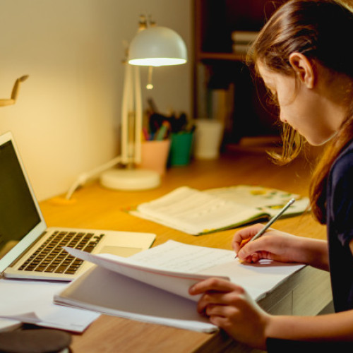 Rezultatele simulării Evaluării Naționale pentru clasa a VIII-a au fost comunicate