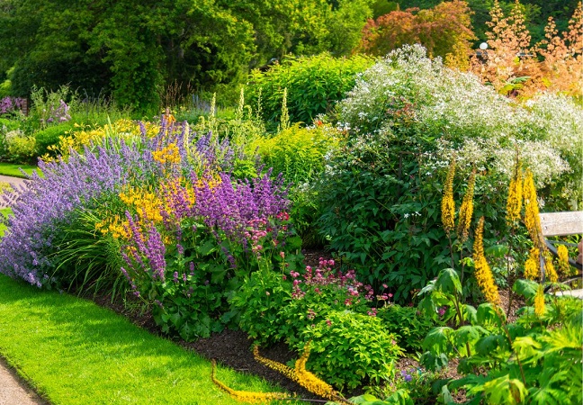 Uniunea Europeană înăsprește regulile pentru cultivarea plantelor ornamentale