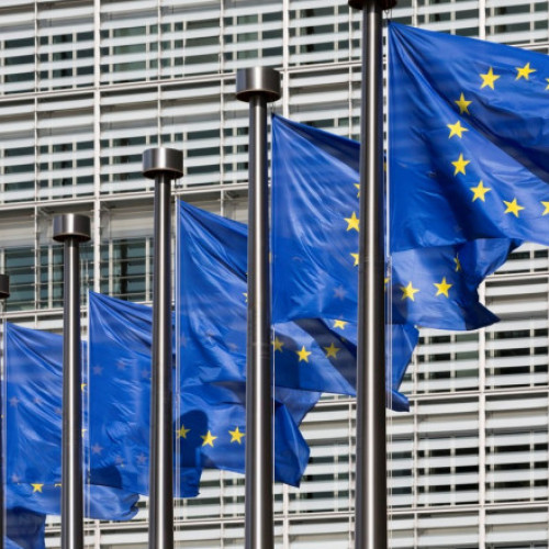 Roxana Mînzatu: Europa se confruntă cu o criză a prețului, nu cu penurie