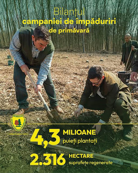 Romsilva a plantat peste 4,3 milioane de puieți în primăvara acestui an
