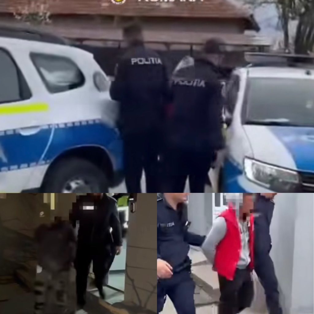 Doi tineri din Mehedinți reținuți pentru furtul a 16 animale