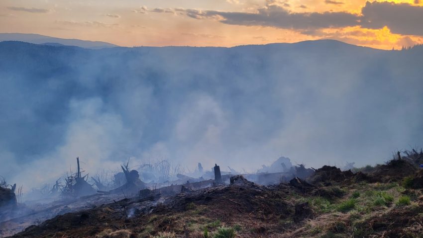 Incendii de vegetație în Harghita: peste 60 de hectare afectate