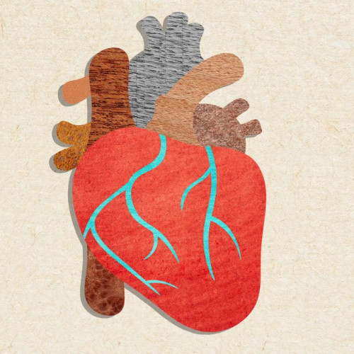 Ghidurile recente privind colesterolul simplifică prevenția bolilor de inimă
