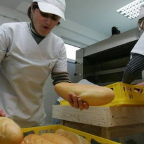 Compania Moara Cibin caută 1.800 de angajați în România