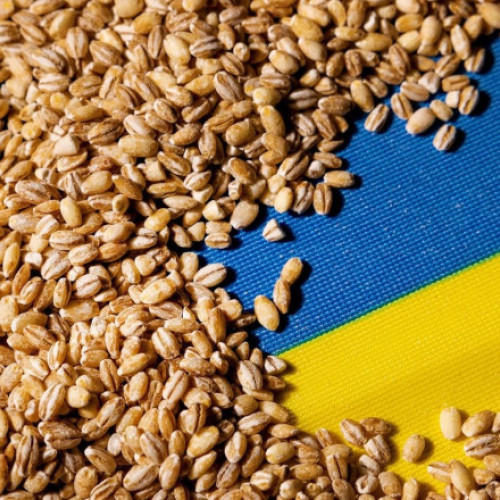 Doi administratori din Oradea, acuzați de înșelăciune de aproape 900.000 de euro