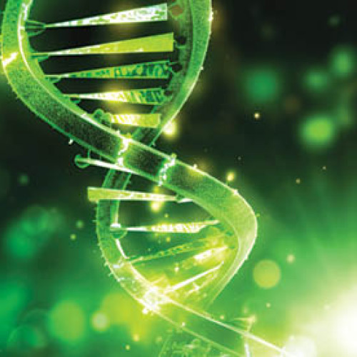 Un test revoluționar arată vârsta biologică independent de cea cronologică