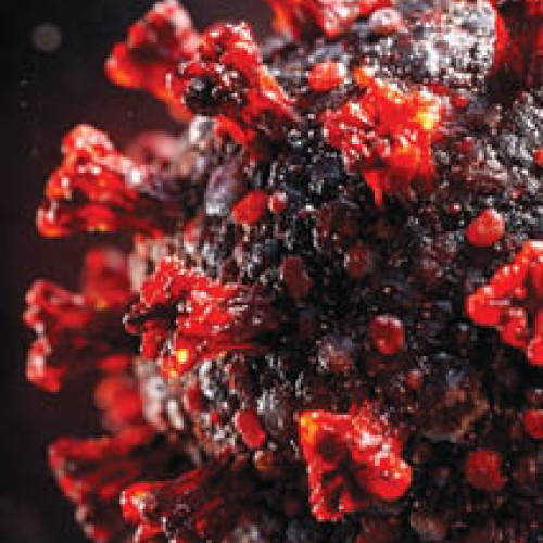 O nouă variantă de COVID-19, BA.3.2, se răspândește rapid în SUA