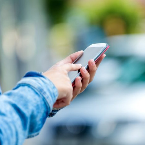 Platformă online pentru cereri de toaletare și defrișare a copacilor în București