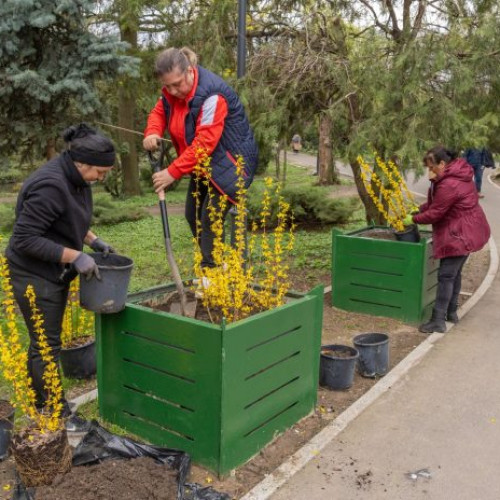 Lucrări de întreținere și amenajare în Parcul Cișmigiu, București