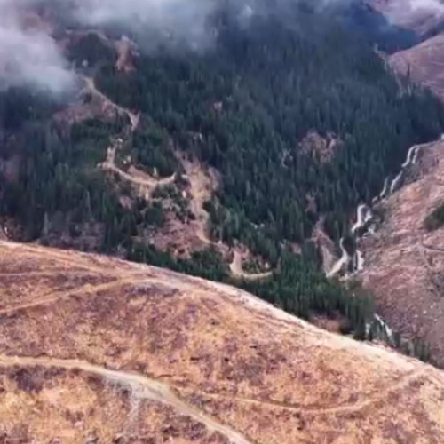 Mafia lemnului prosperă în România, iar statul rămâne inactiv