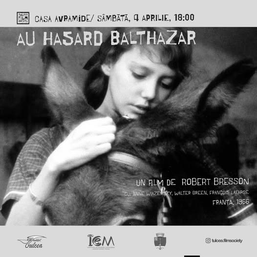 Proiecția filmului „Au hasard, Balthazar” la Casa Avramide din Tulcea