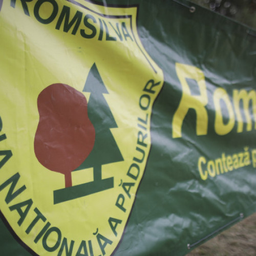 Federaţia Sindicatelor Silva contestă reorganizarea Romsilva la Curtea de Apel Bucureşti