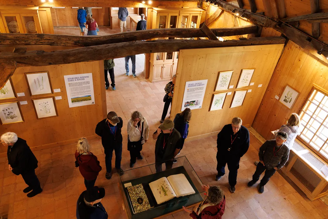 Expoziția dedicată Reginei Maria ajunge la Casa Regelui Charles al III-lea din Viscri