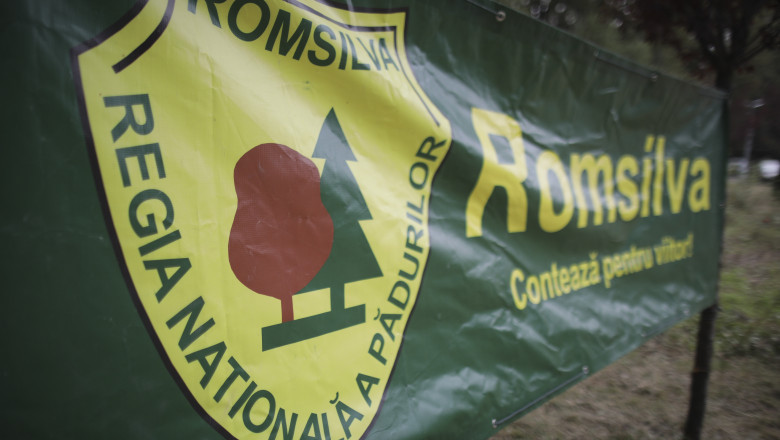 Sindicatele din silvicultură contestă reorganizarea Romsilva la Curtea de Apel București