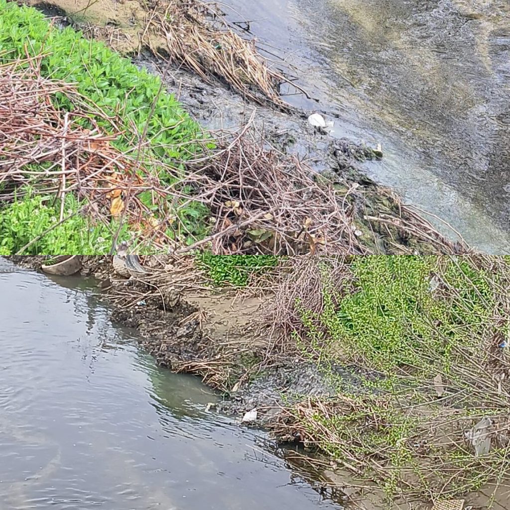 Societate din Gorj, cercetată pentru deversări ilegale în pârâul Amaradia