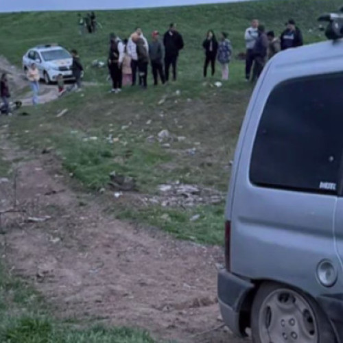 Pădurari agresați de hoți de lemne în Timiș, incident alarmant