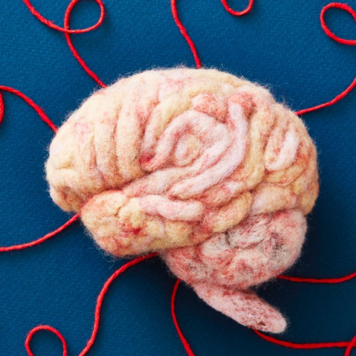 Nu poți "antrena" cu adevărat creierul. Iată ce poți face în schimb.