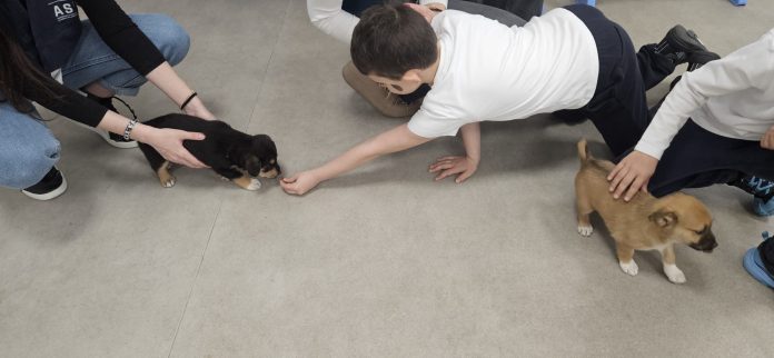 Programul educațional ASPA București ajunge la 600 de copii