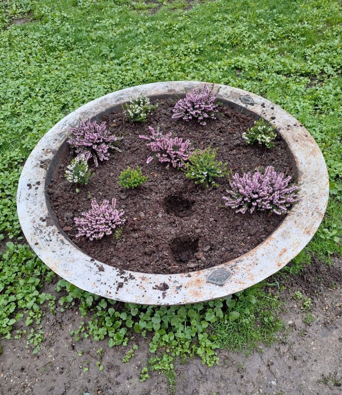 Flori distruse și furate în Parcul Cișmigiu, reacții din partea autorităților