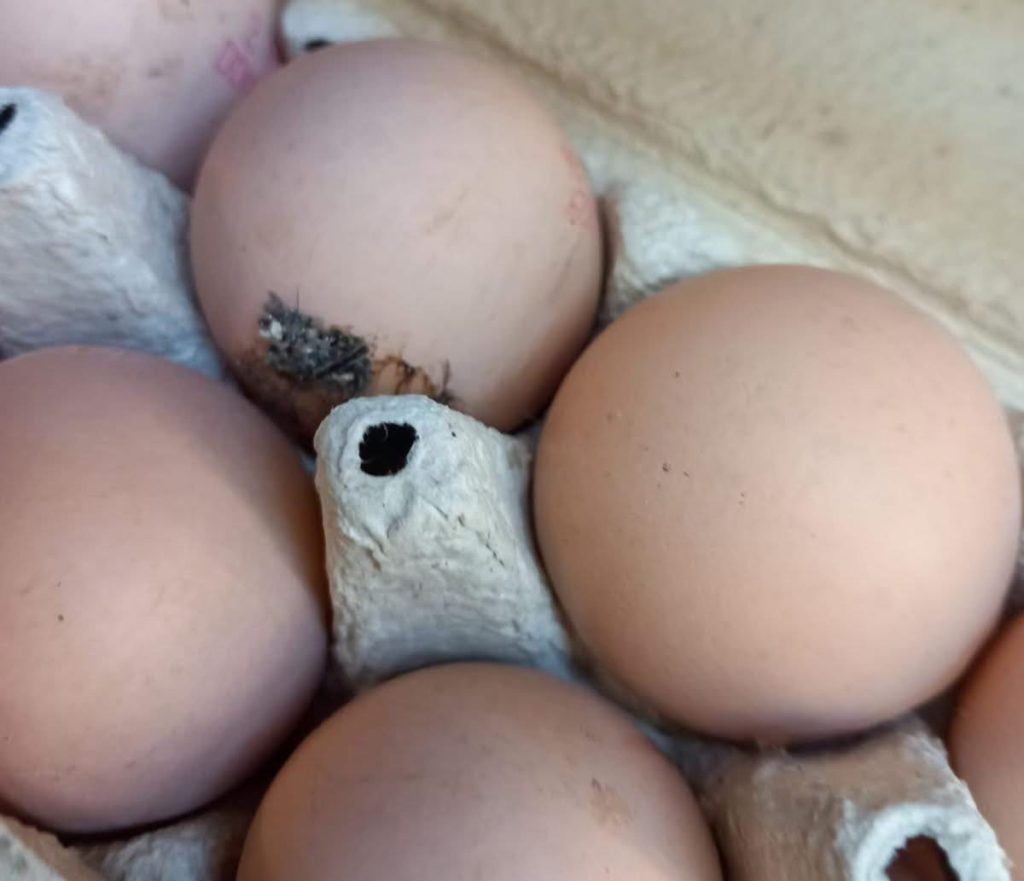 Controalele ANPC au dus la amenzi de peste 6,3 milioane lei