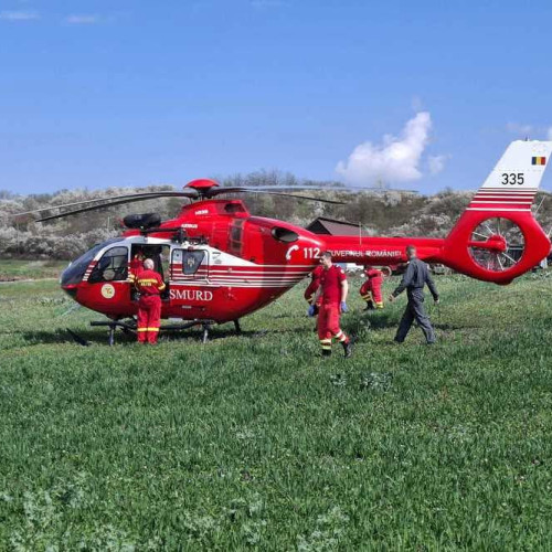 Un bărbat din Alba a fost grav rănit după ce un copac a căzut peste el