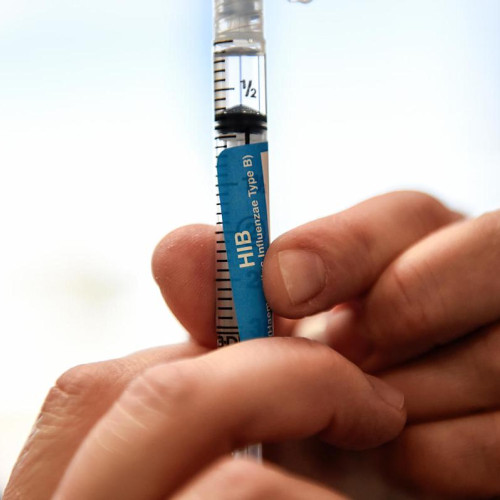 O boală bacteriană letală revine pe fondul scăderii ratelor de vaccinare