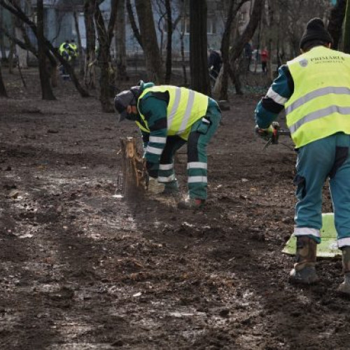 Sectorul 2 oferă gratuit flori și plante asociațiilor de proprietari
