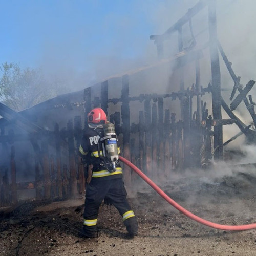 Incendiu devastator într-un saivan din Bihor: 15 iezi au murit