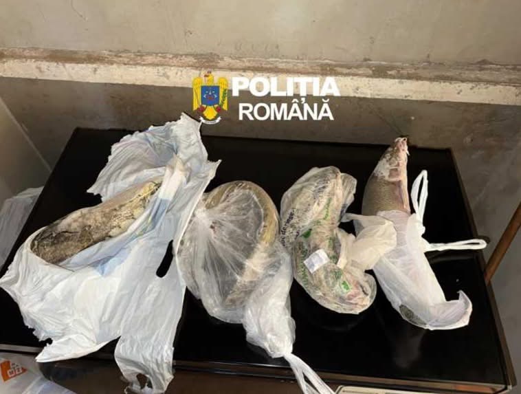 Percheziții în Arad și Timiș pentru braconaj piscicol