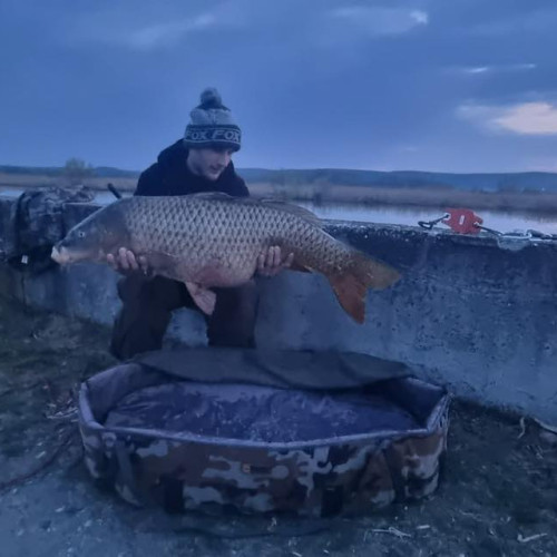 Doi pescari din Gorj au prins crapi uriași din râul Jiu