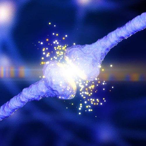 Noua „teorie unificatoare” ar putea explica apariția Alzheimerului în creier