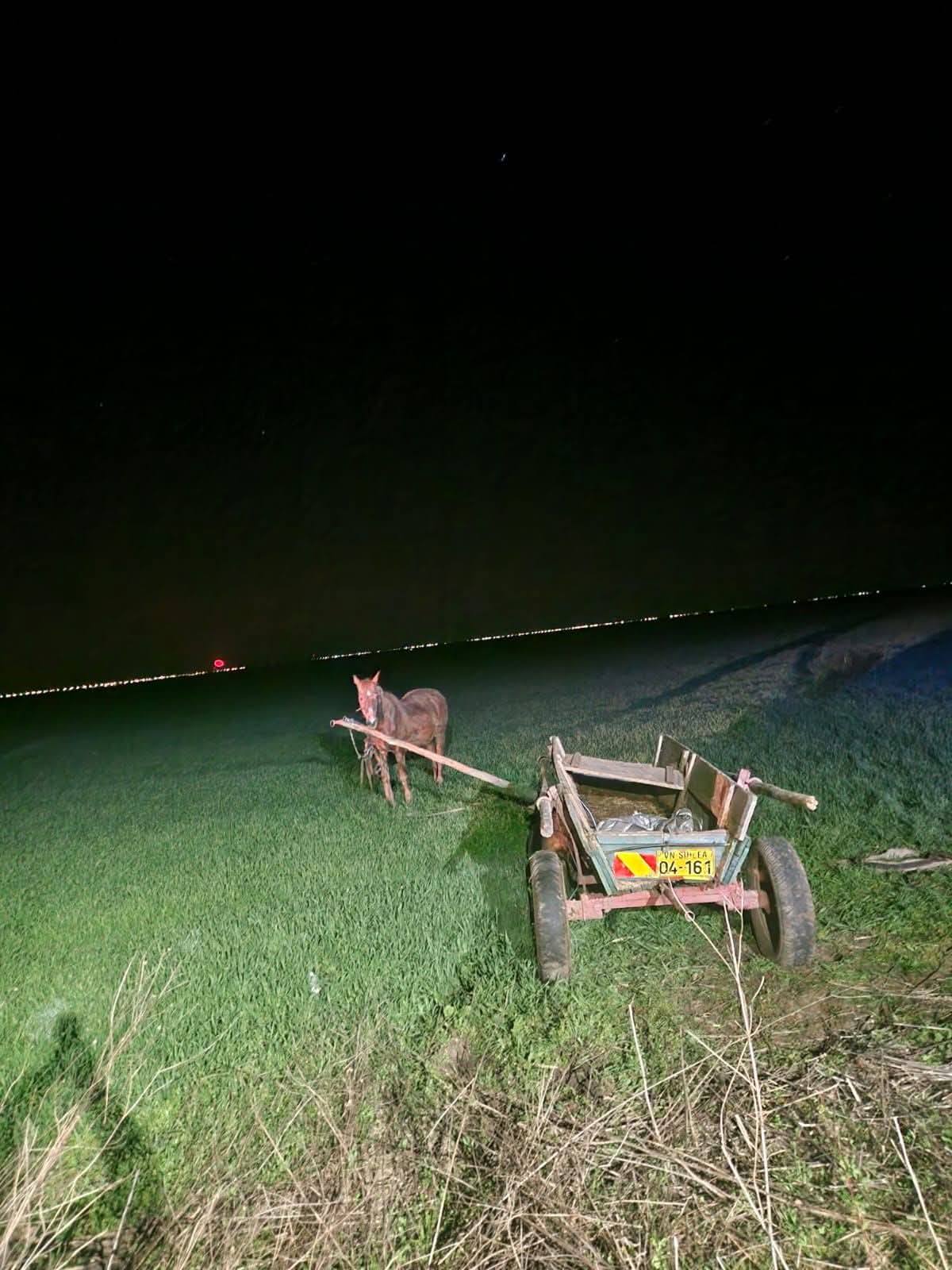 Accident mortal în Vrancea: o căruță s-a răsturnat pe DJ 202 E