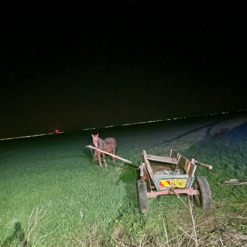 Accident mortal azi noapte. FOTO