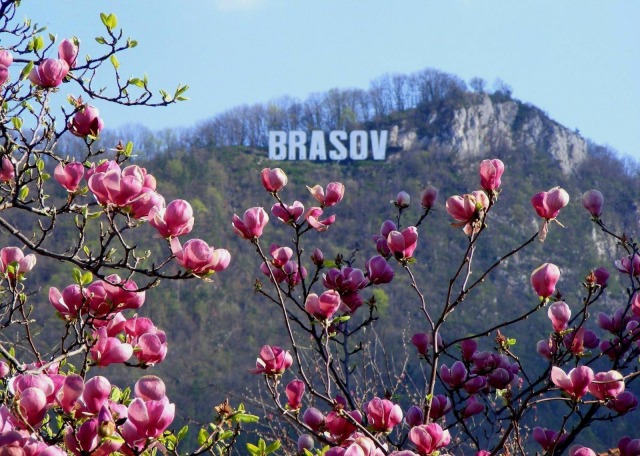 Vremea se răcește semnificativ în următoarele două săptămâni