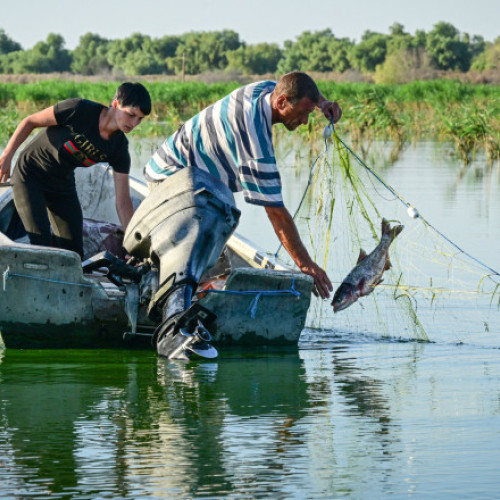 Pescarii din Tulcea majorează prețurile din cauza costurilor mari cu carburanții