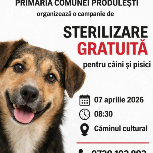 Comună din Dâmbovița oferă sterilizare gratuită pentru câini și pisici