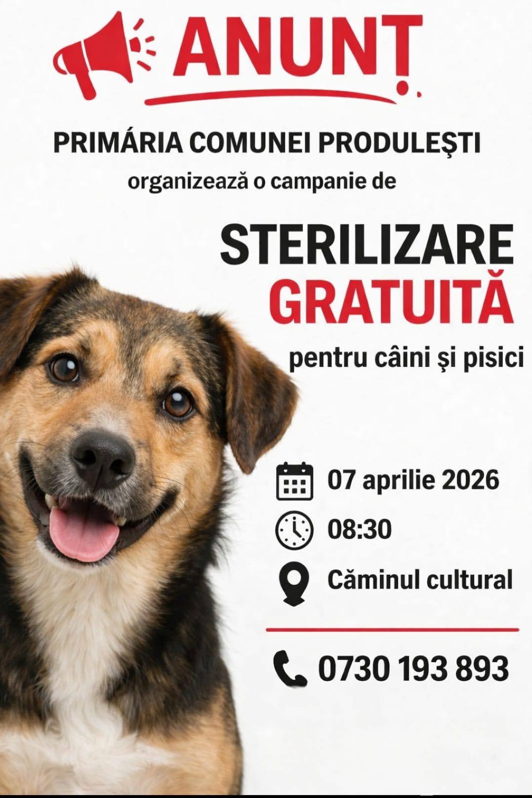 Comună din Dâmbovița oferă sterilizare gratuită pentru câini și pisici