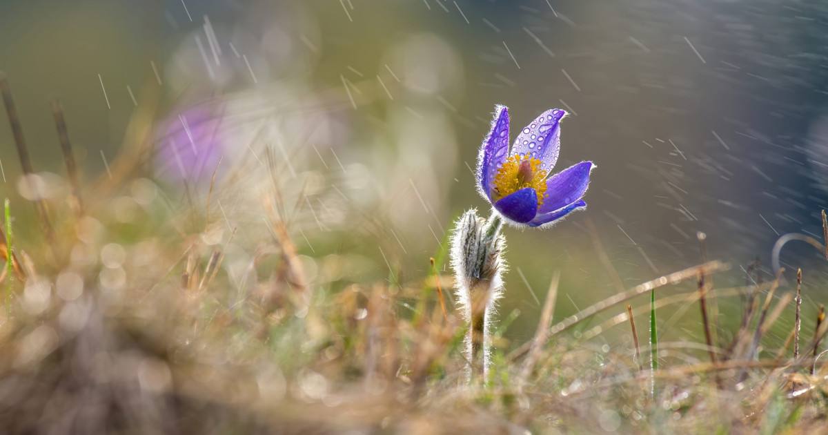 Variații semnificative de temperatură în Muntenia în următoarele două săptămâni