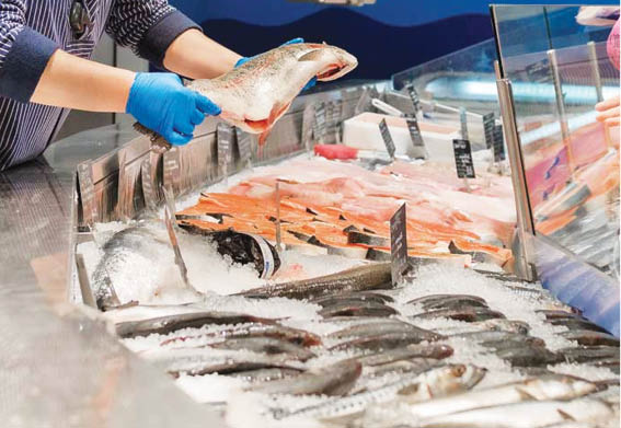 România traversează o scădere a producției de pește și fructe de mare