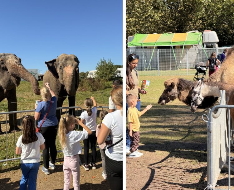 Zoo Park România ajunge pentru prima dată la Baia Mare, oferind o experiență unică