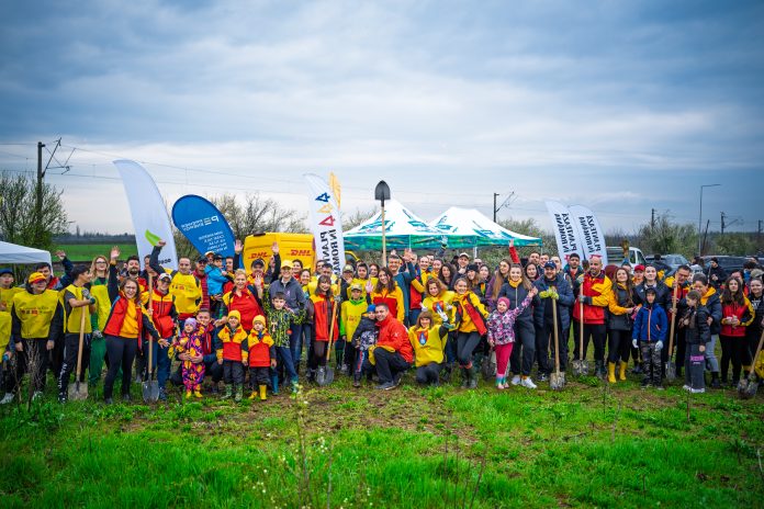 În Mogoșoaia și Măgurele s-au plantat zeci de arbori pentru mediu