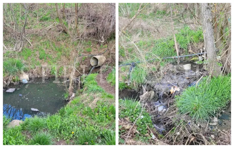 Proprietarii de terenuri din Cluj-Napoca semnalează poluare în zona Zorilor-Mănăștur